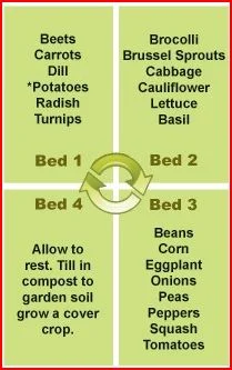 http://www.gardenality.com/Articles/233/Garden-Types/Food-Gardens/Vegetable-Garden-Crop-Rotation/default.html