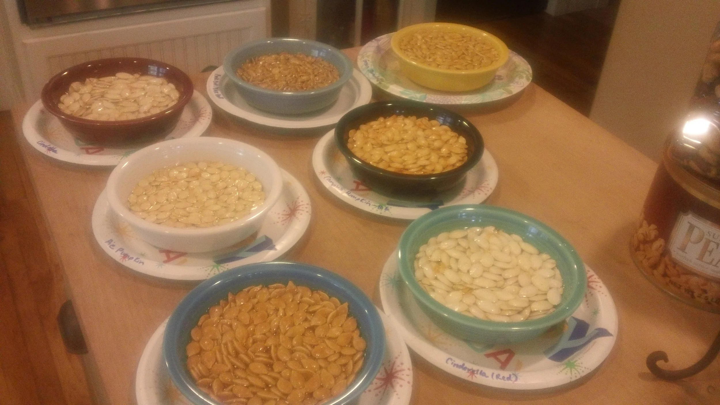 Seven seed varieties for next year's planting.