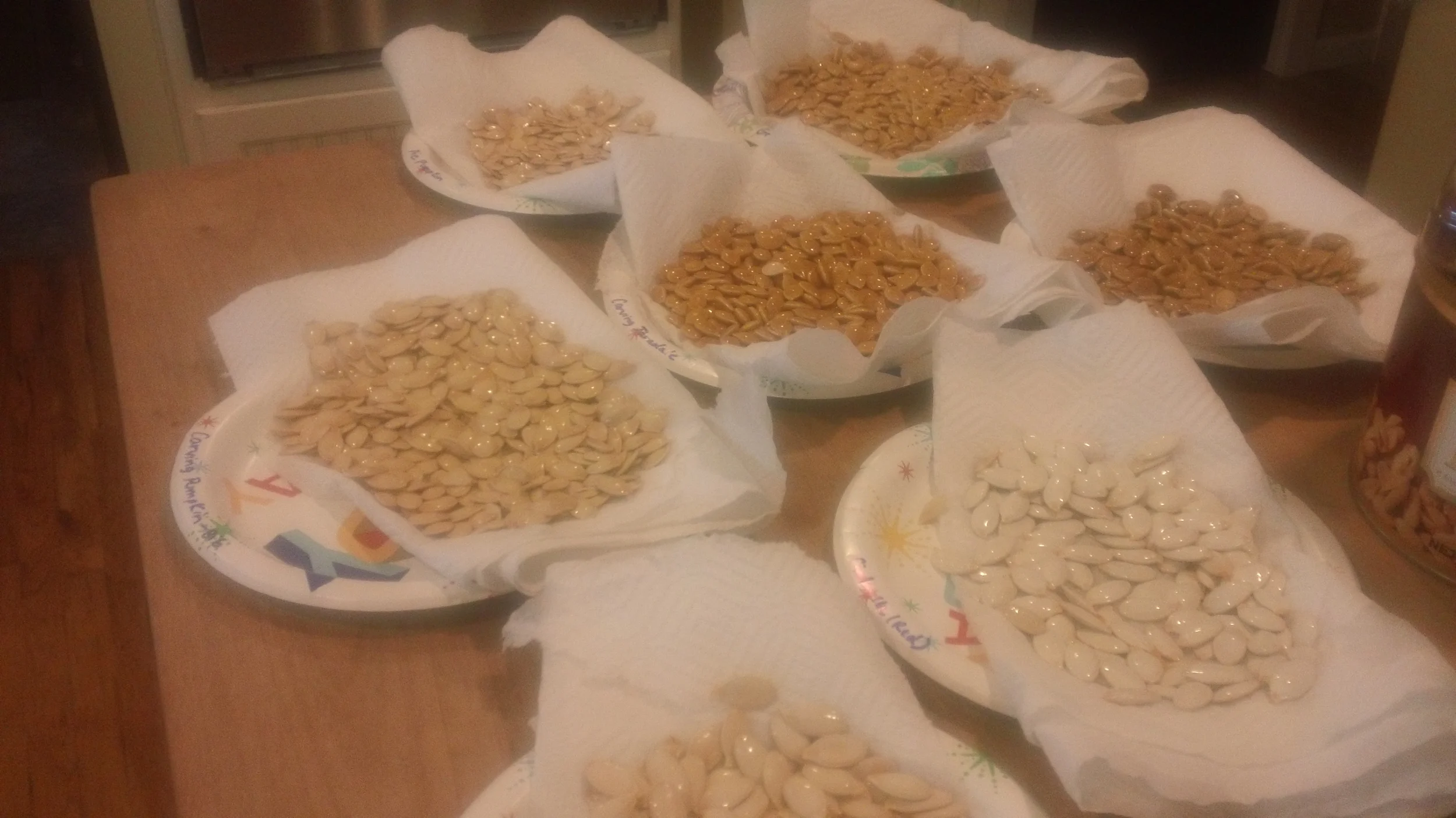 Seeds drying for several days on the counter. 