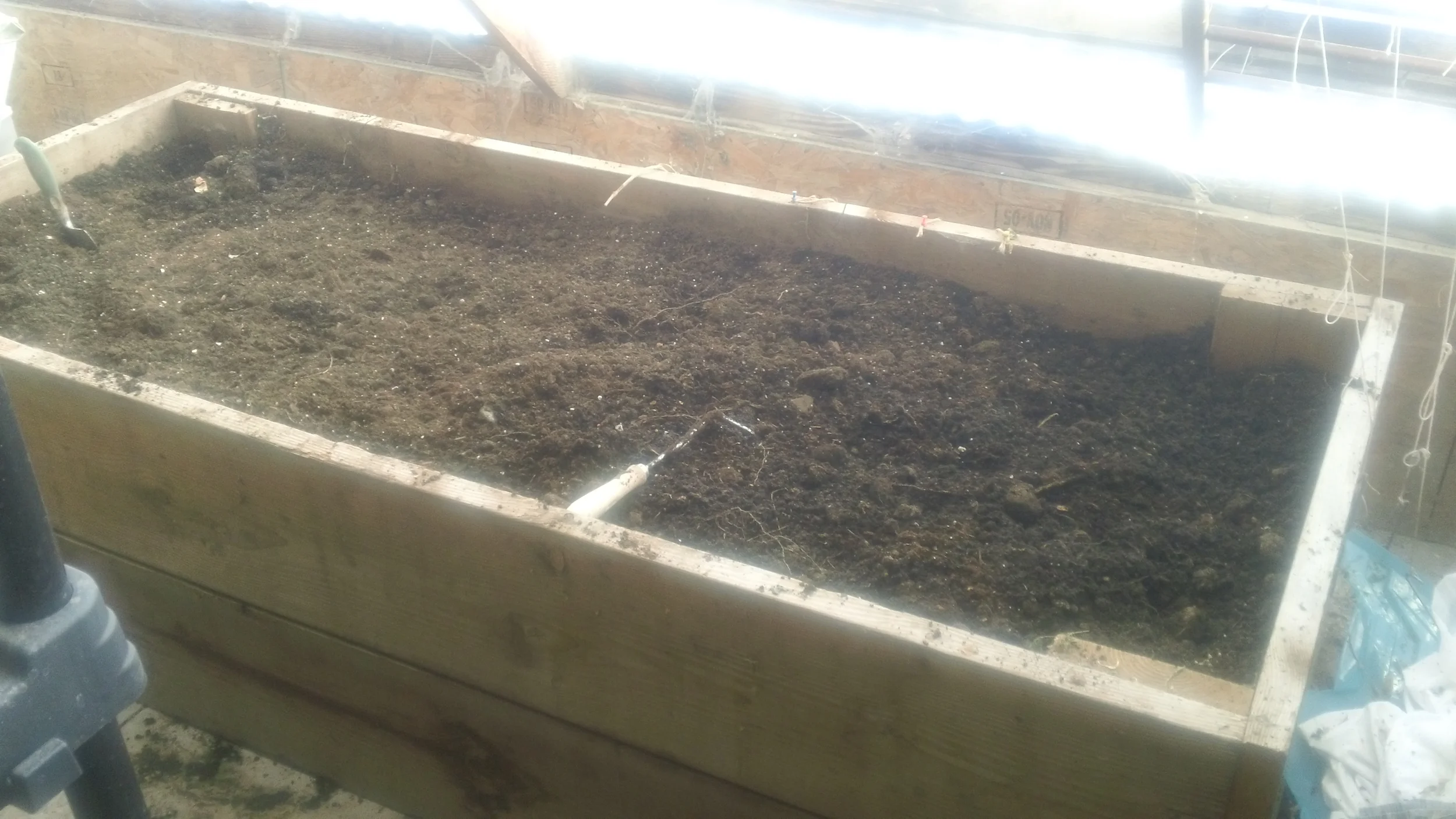 Red wiggler worms make their home in this raised bed space as well.