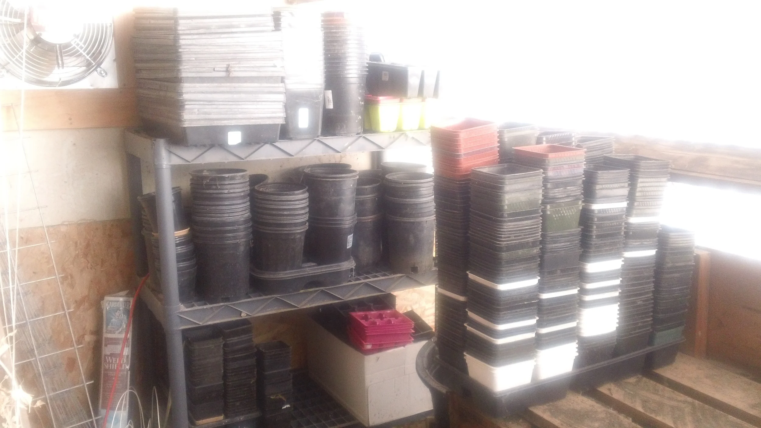 Pots and seedling trays stacked ready for planting this season. 