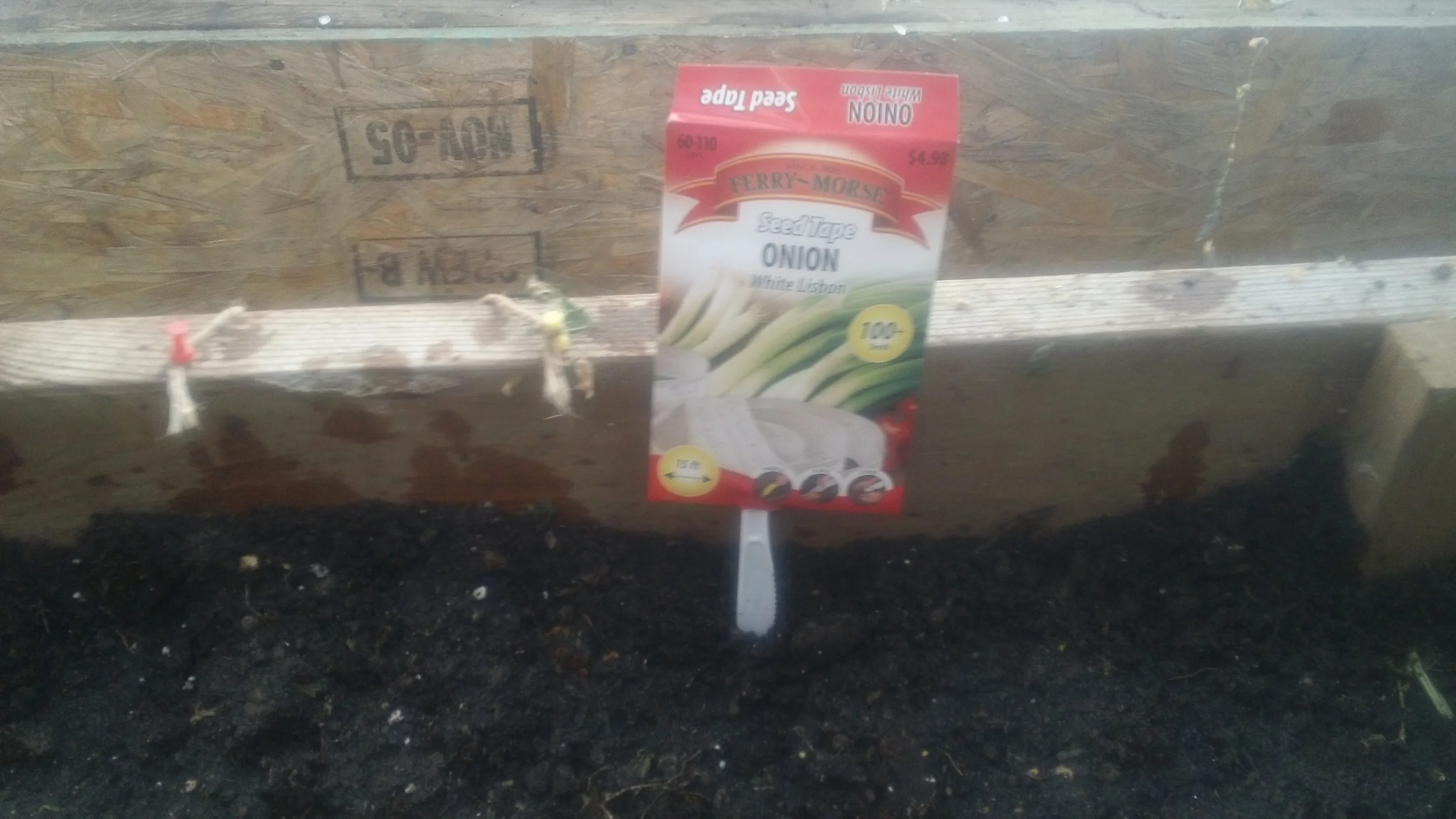 Seed tape is a nice option for small seeds. If you want a time saver, seed tape works nicely to ensure proper seed spacing and a quick planting method.