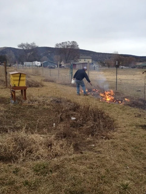 Eric burning wildflower remnants in the garden.