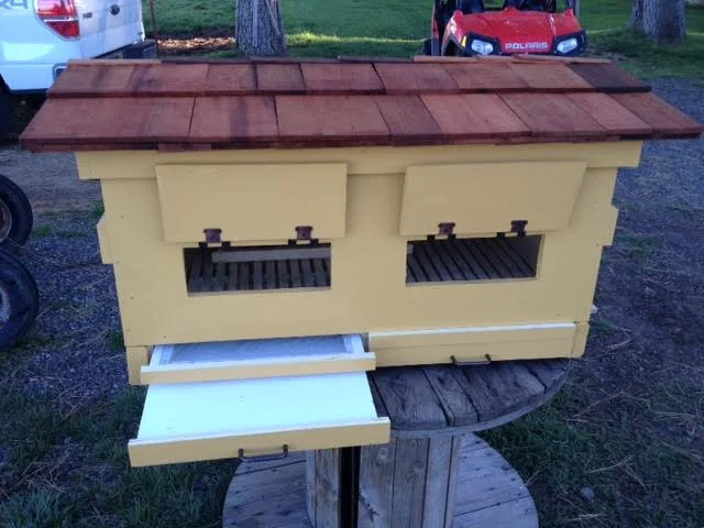 There are two drawers on either side of the hive. The top drawer has a screened bottom board for the bees to walk across. The second drawer is a mite count board. It is white and helps to quickly spot mites and do a count during inspections. The mites do not travel back up through the screened bottom board. 