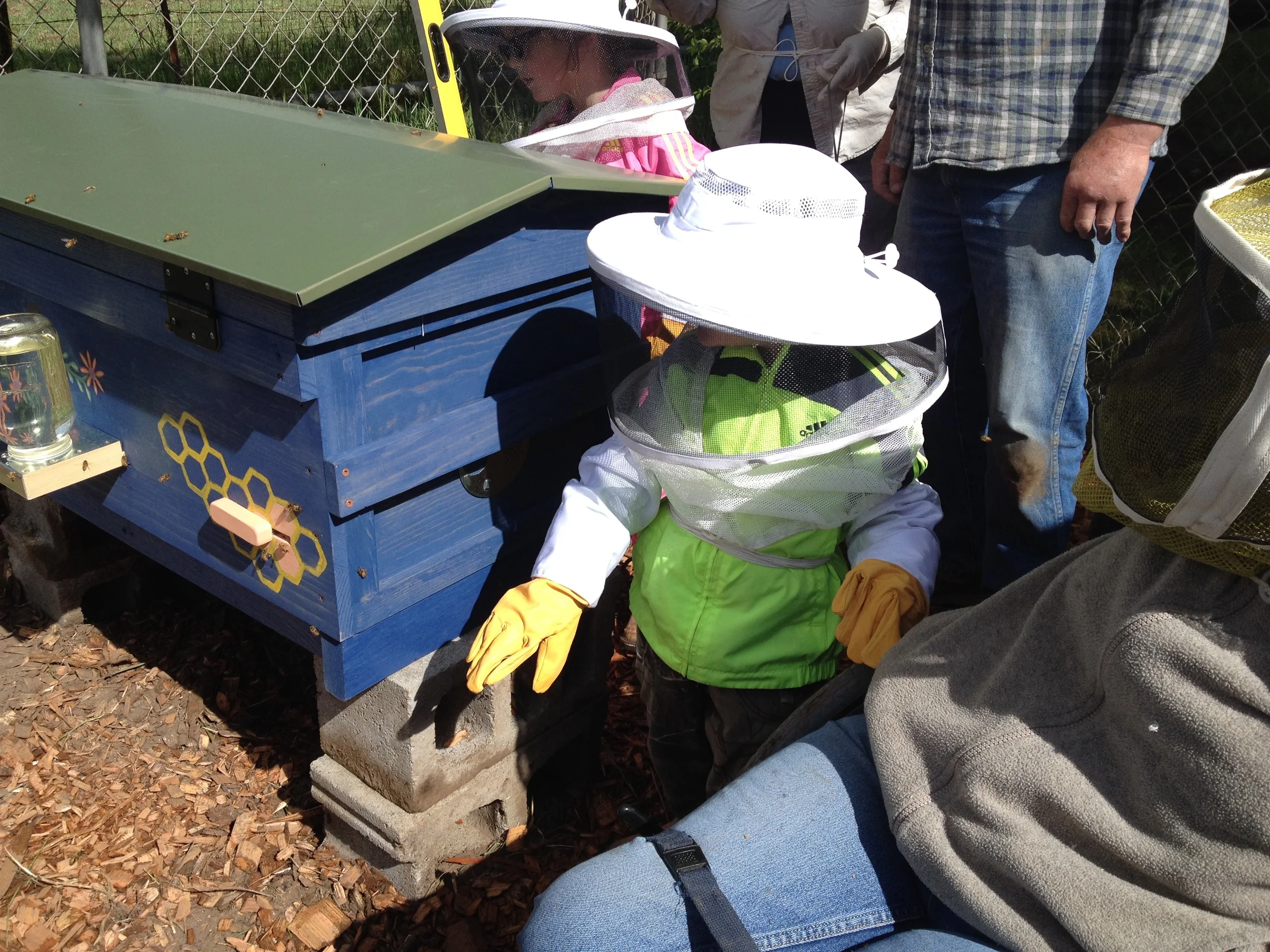 Little Emmett, my mentor and Valhalla hive designer, and our first hive. 