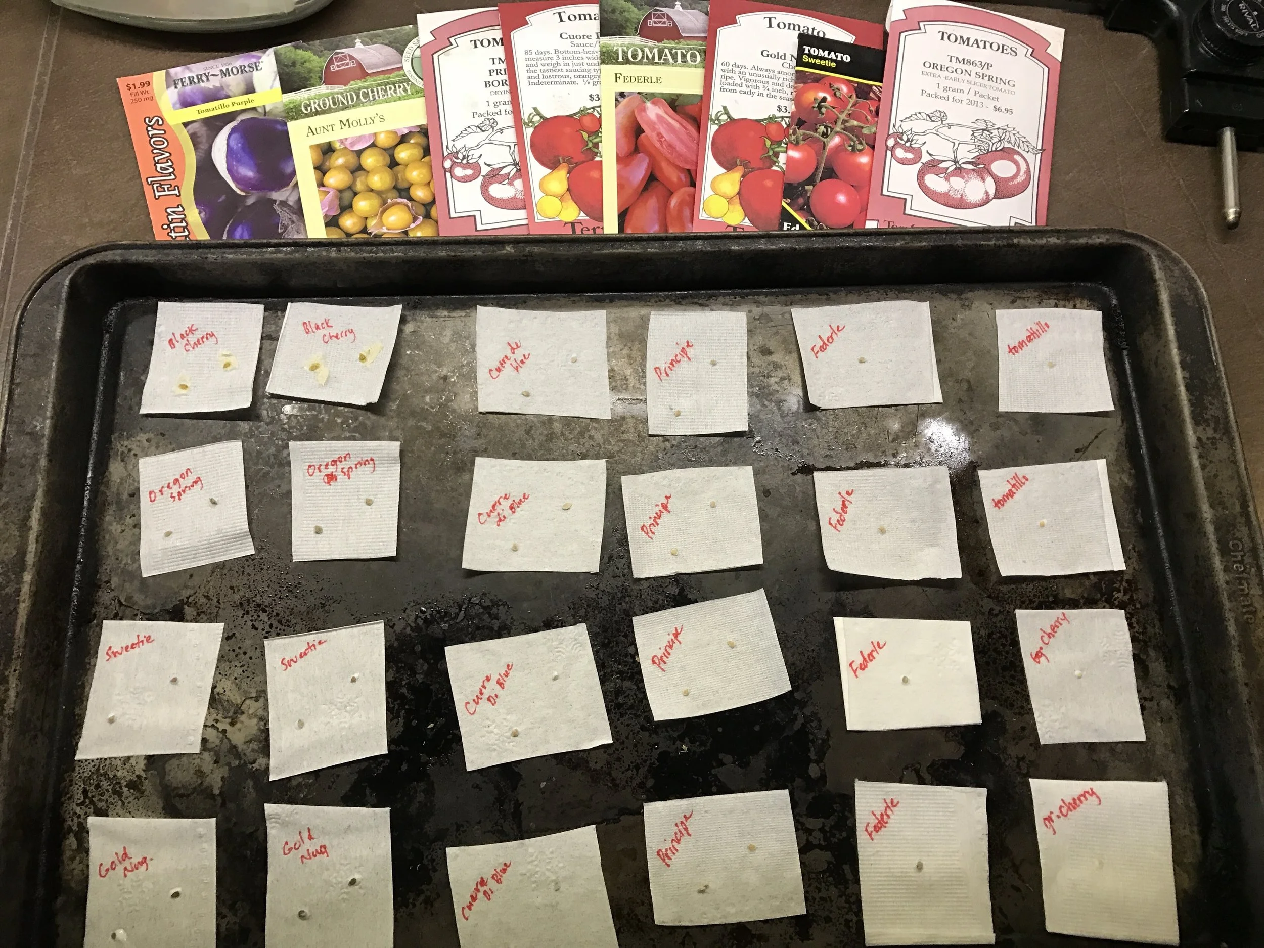 Tomato seeds glued to paper towel scraps make for easy planting. The hardest part is narrowing down the choices. I have room for 24 tomato plants in the garden this year based on how I plotted out each of the beds. 