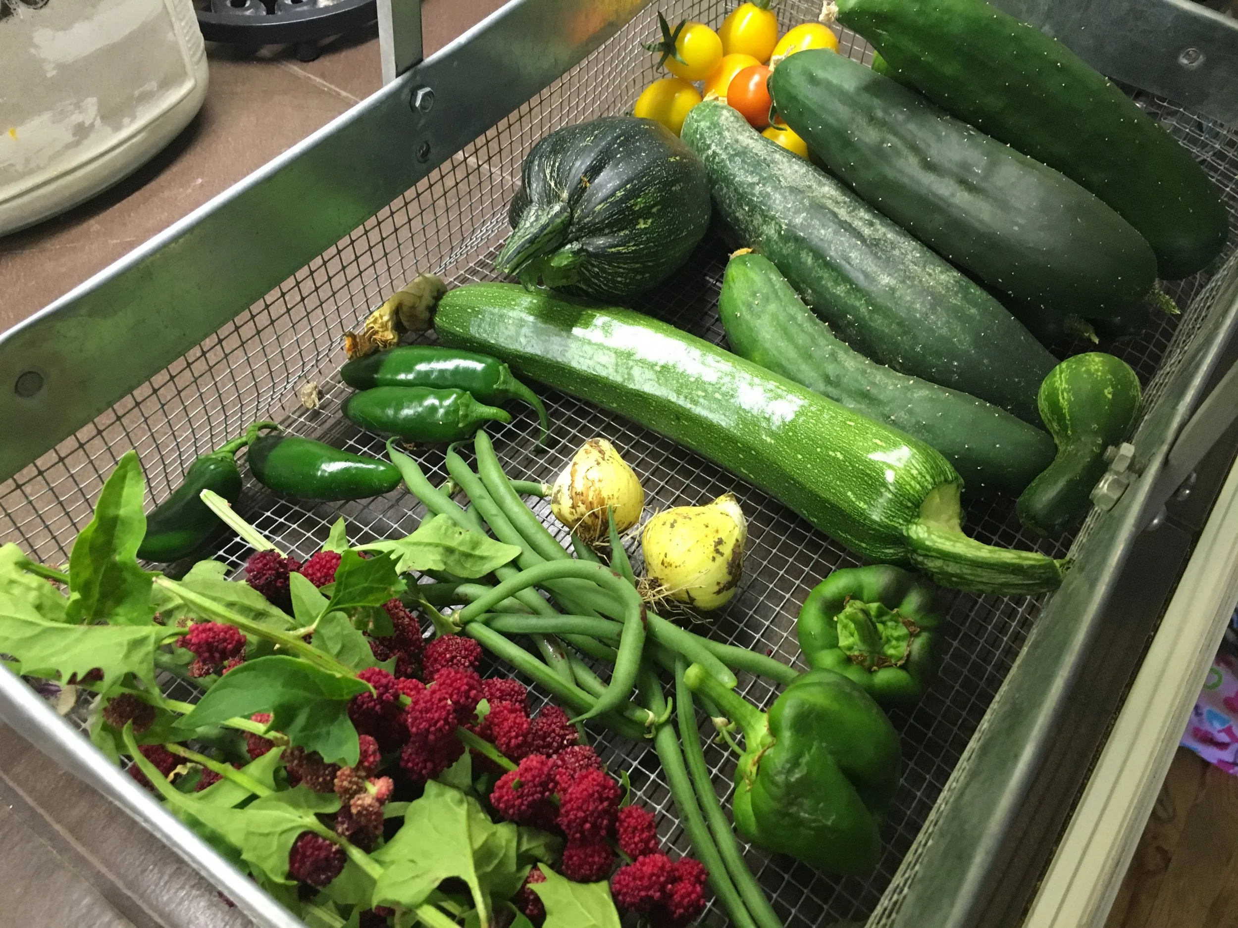 A typical morning harvest from the garden. The colors and products change throughout the season.
