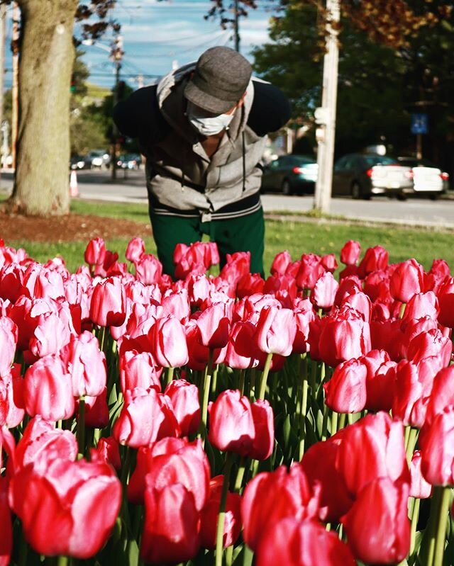 T&rsquo;was invigorating to stop and #smellthetulips yesterday, basically the same feeling you can have if you stop by the @seepeoples @youtube channel and check out the new video for &ldquo;Blink&rdquo; by @morning_visuals ( recorded at @chillhouses