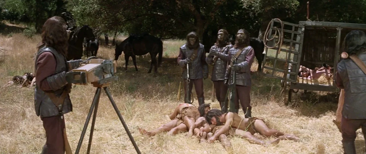 [Obrazek: image-asset.jpeg]