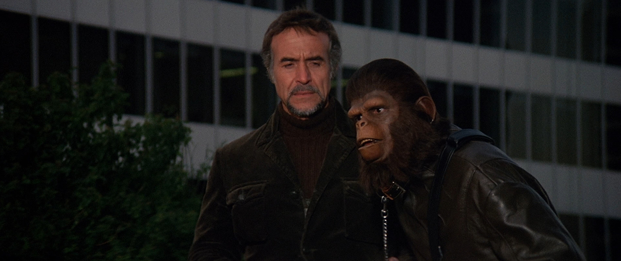 But hey, to offset that, we've got a chimp in a leather outfit!