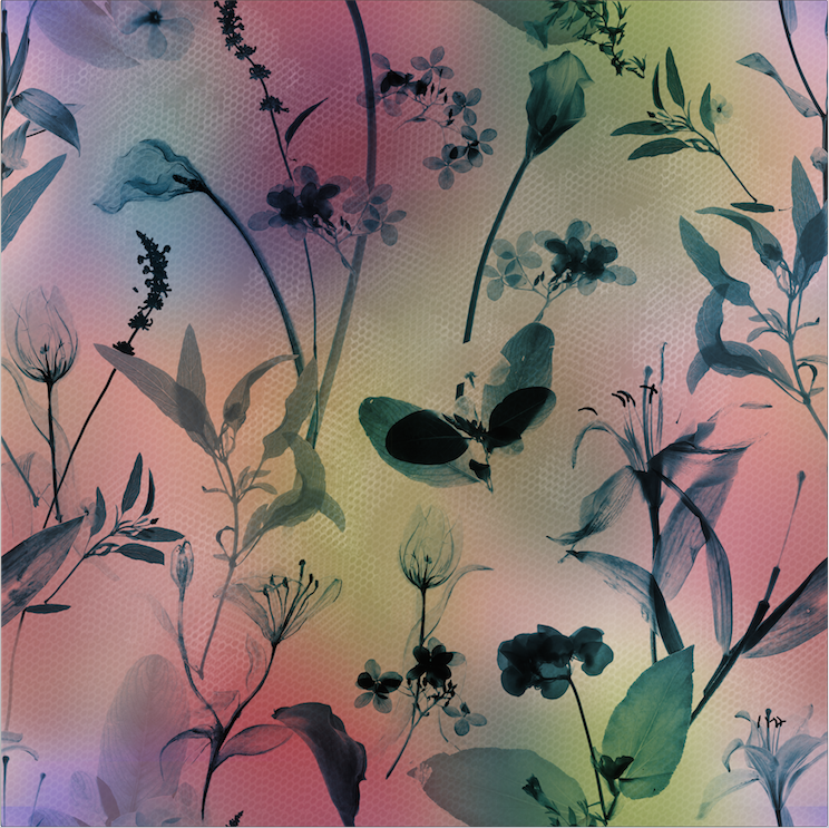 Screen Shot 2015-01-16 at 上午9.02.43.png