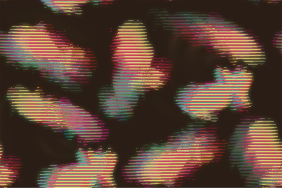  Goldfish in Motion 