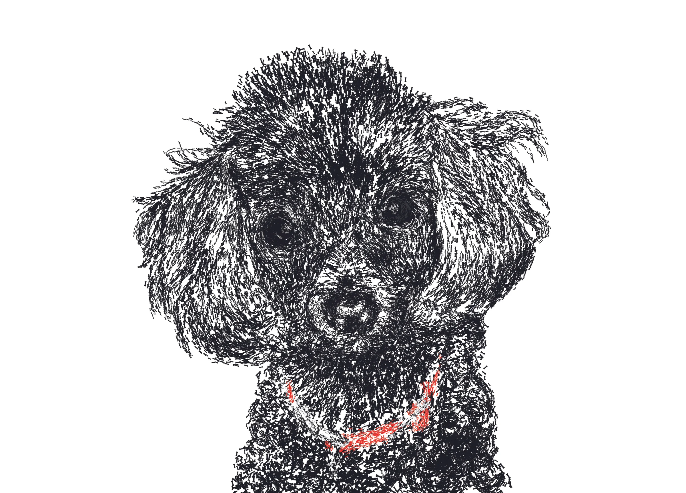 Maddie.jpg