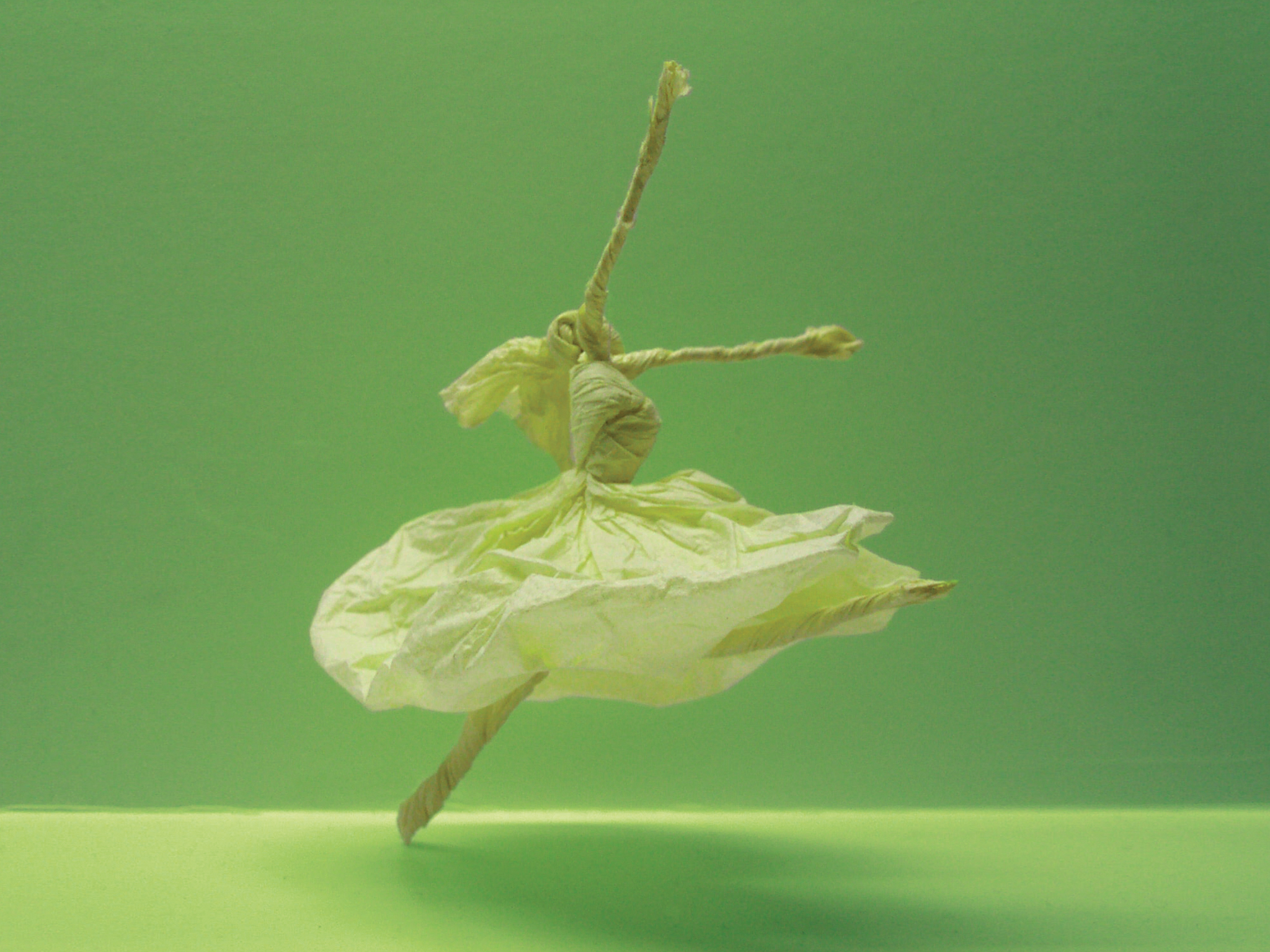 25_LIME.jpg