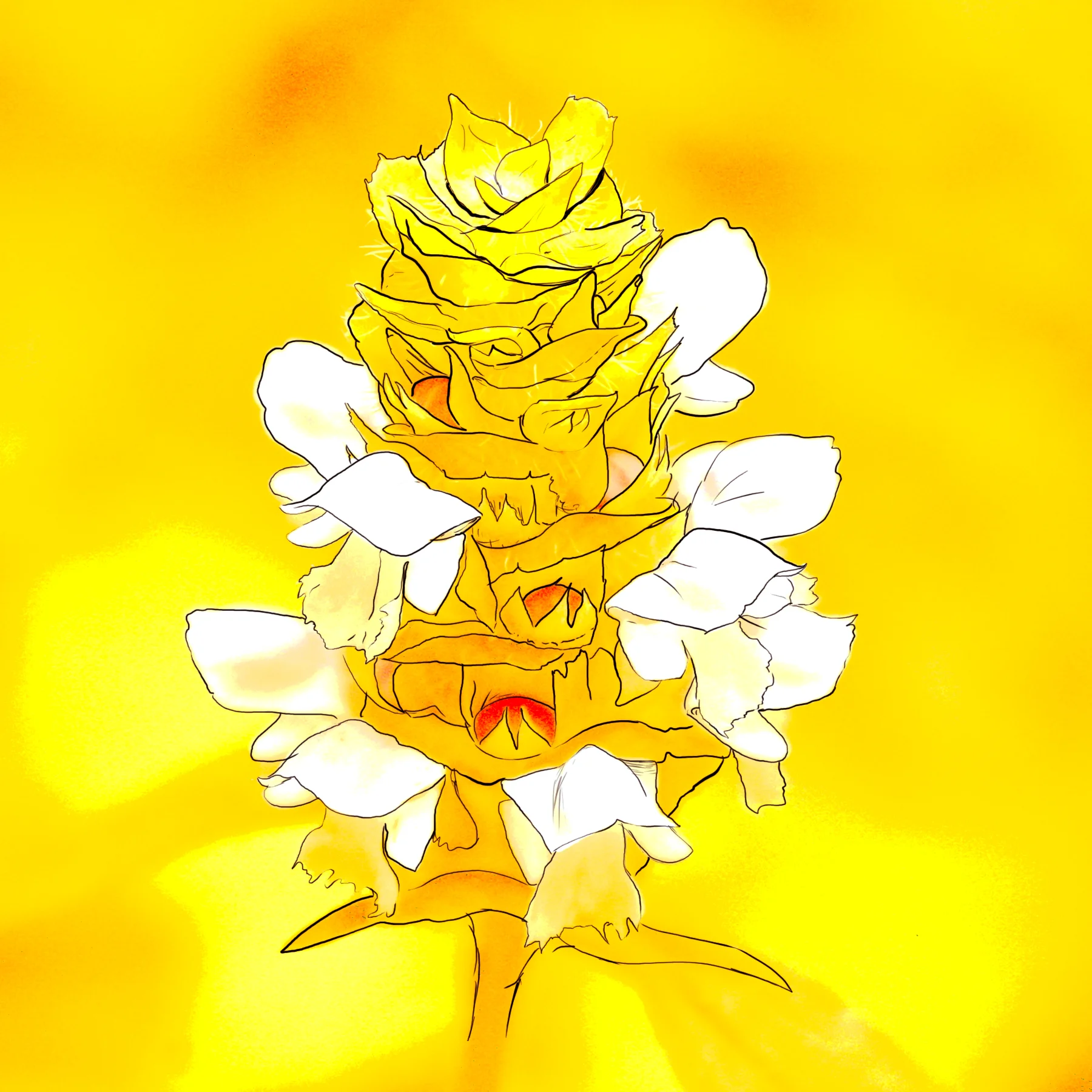 SUNNY_FLOWER.jpg