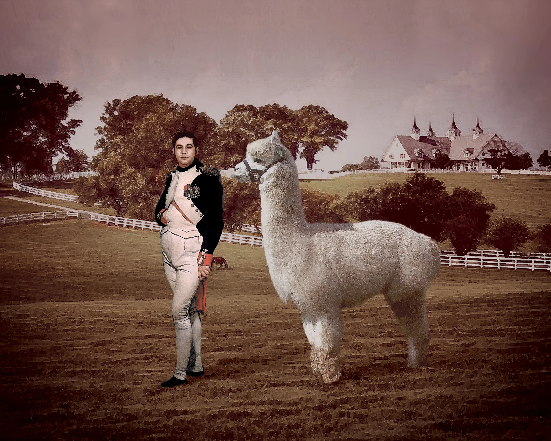 Papa_Horse_F.jpg