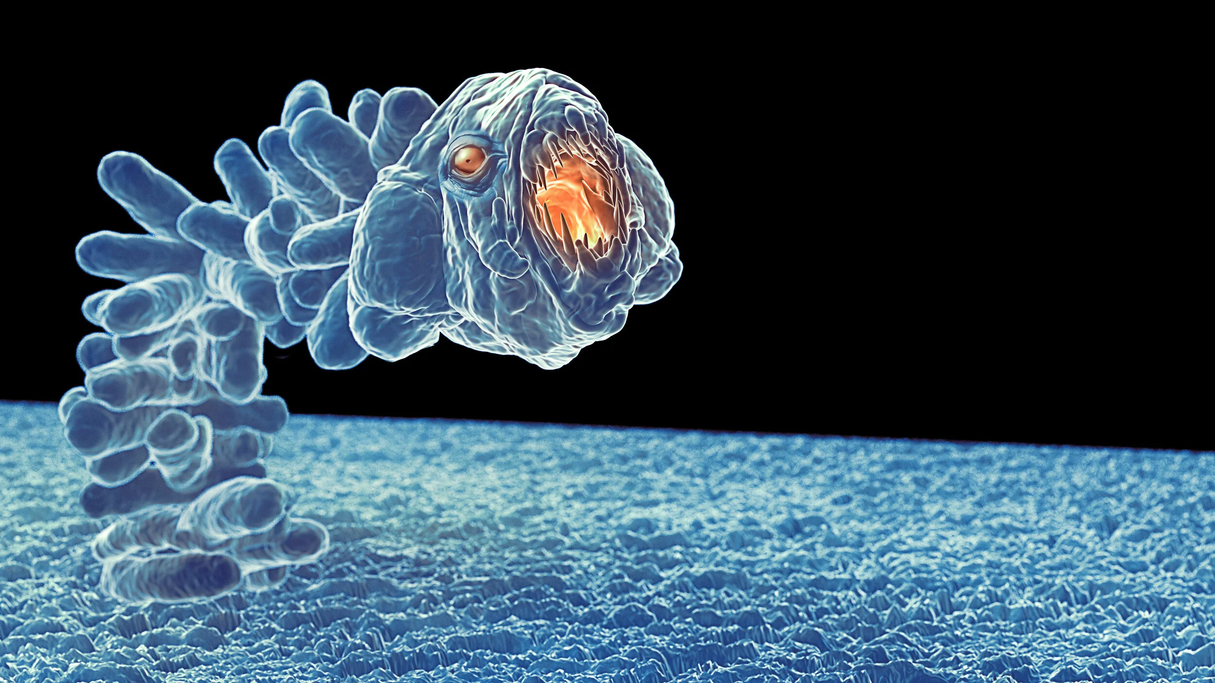 MICRO_BACTERIA_2_F.jpg
