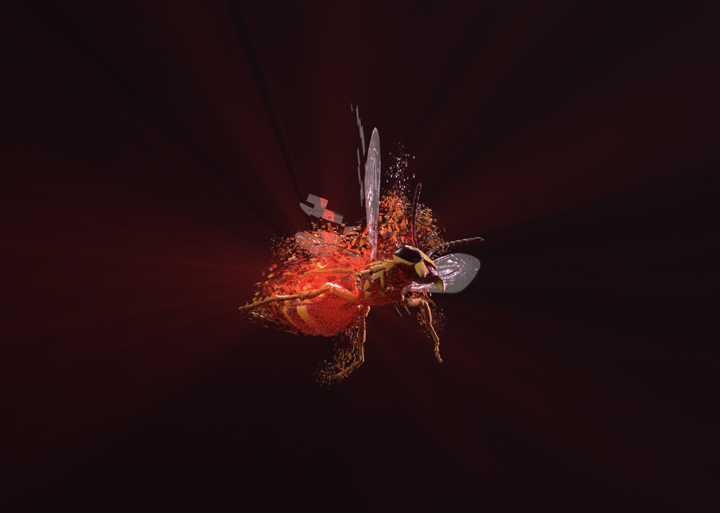 Screen Shot 2020-07-18 at 10.51.20 AM.png