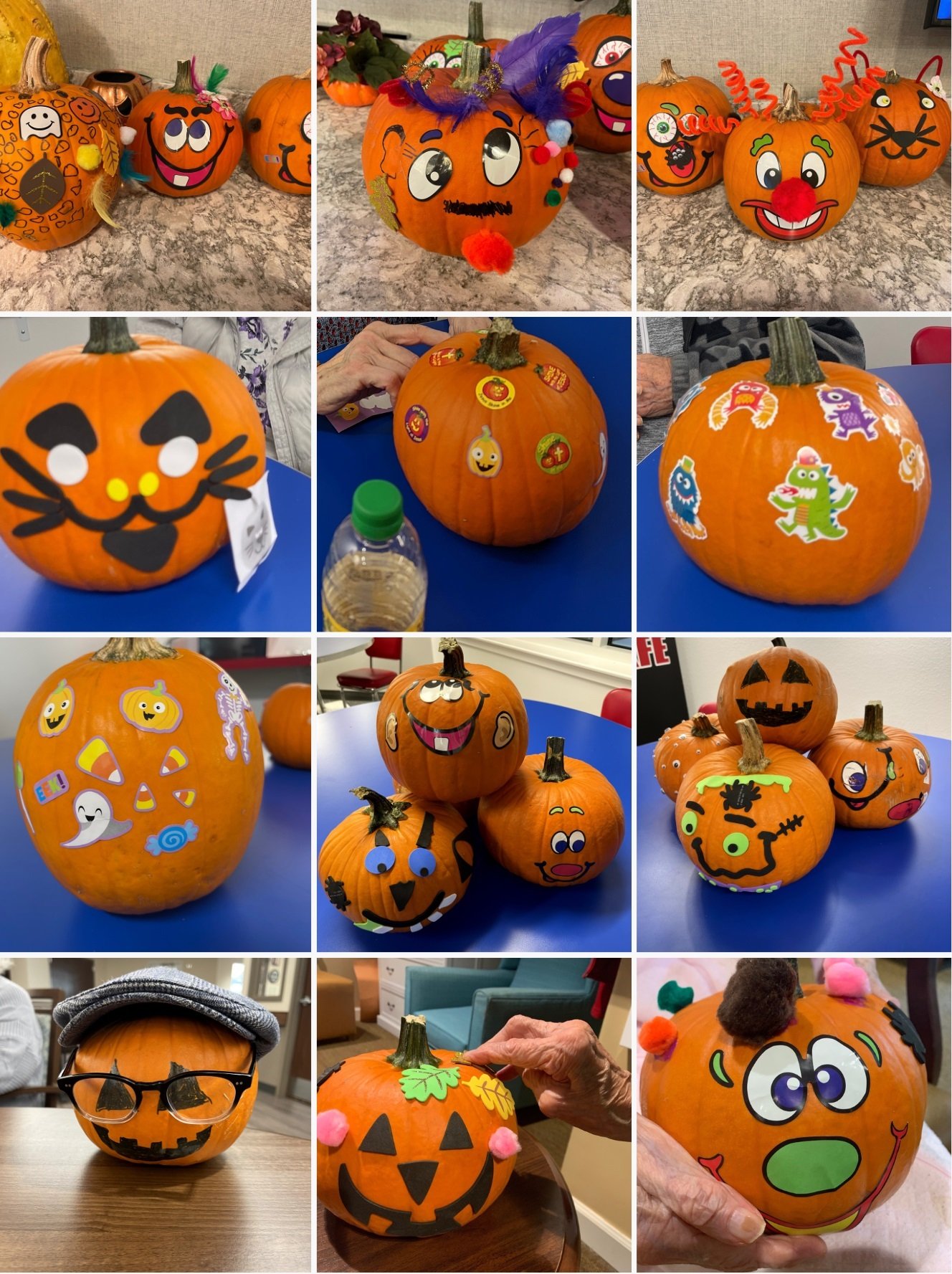 Finished Pumpkin Collage Nov 2022.jpg