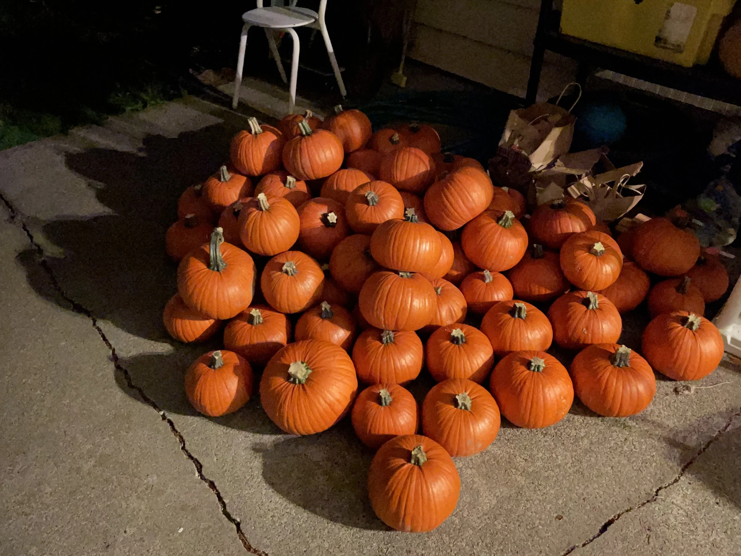 Our October 2026 Newsletter Is Here!