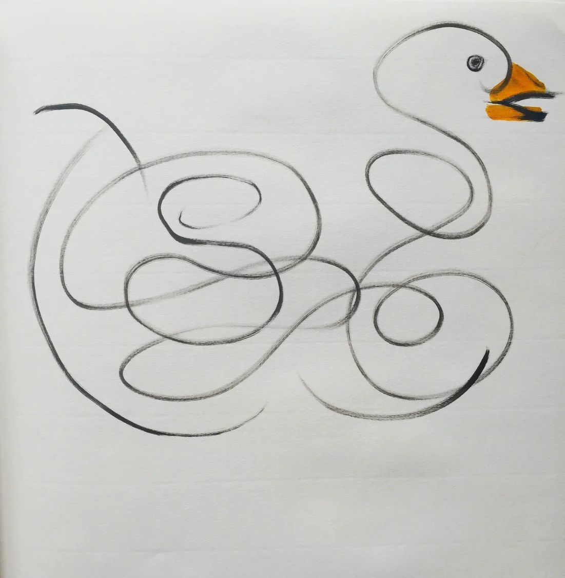 GOOSE OR SWAN OR DUCK