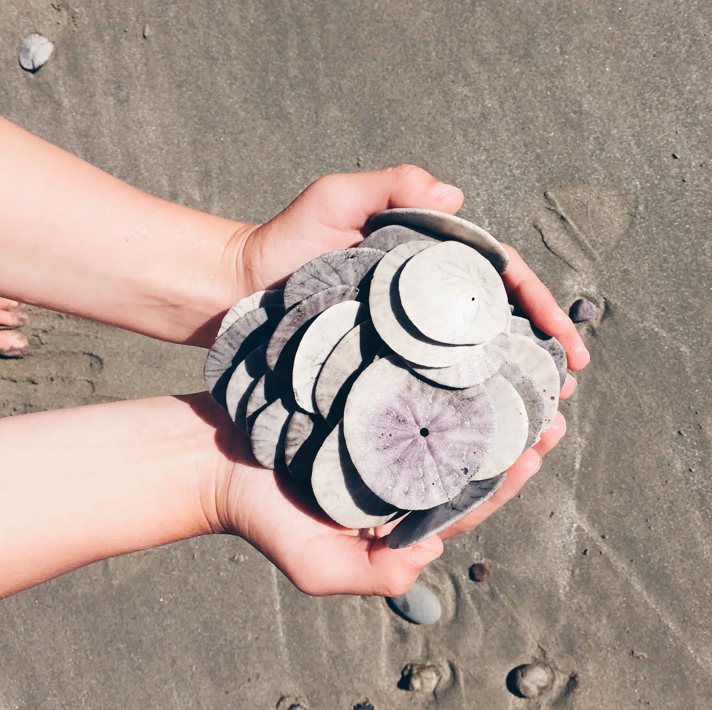 3 Beach Treasure Hunt Ideas for Kids — Blue Corduroy