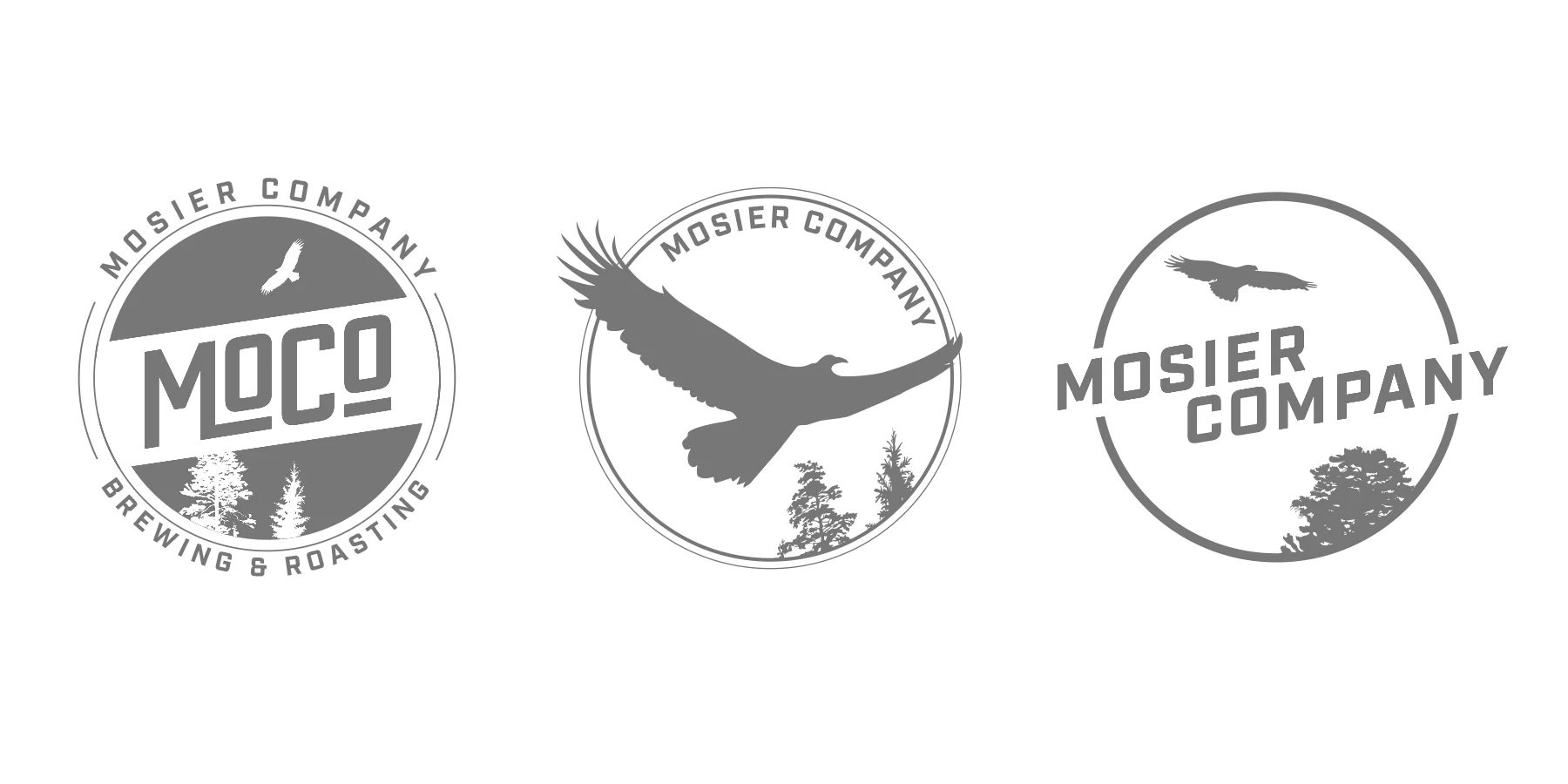  alternate turkey vulture ideas 