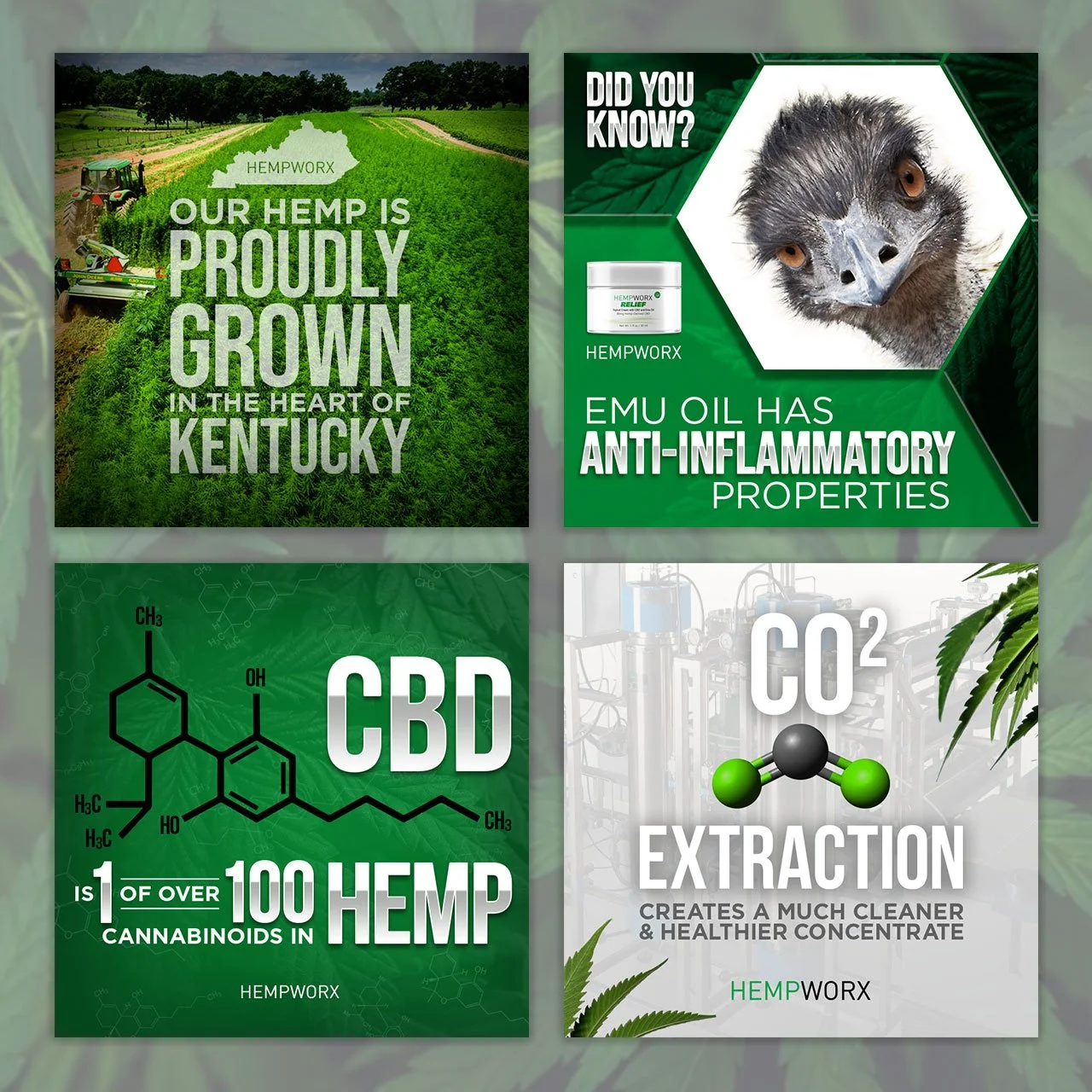 Hempworx Social Posts