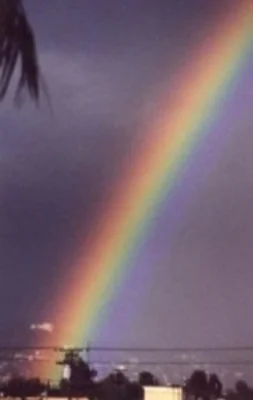Copy of Rainbow.jpg
