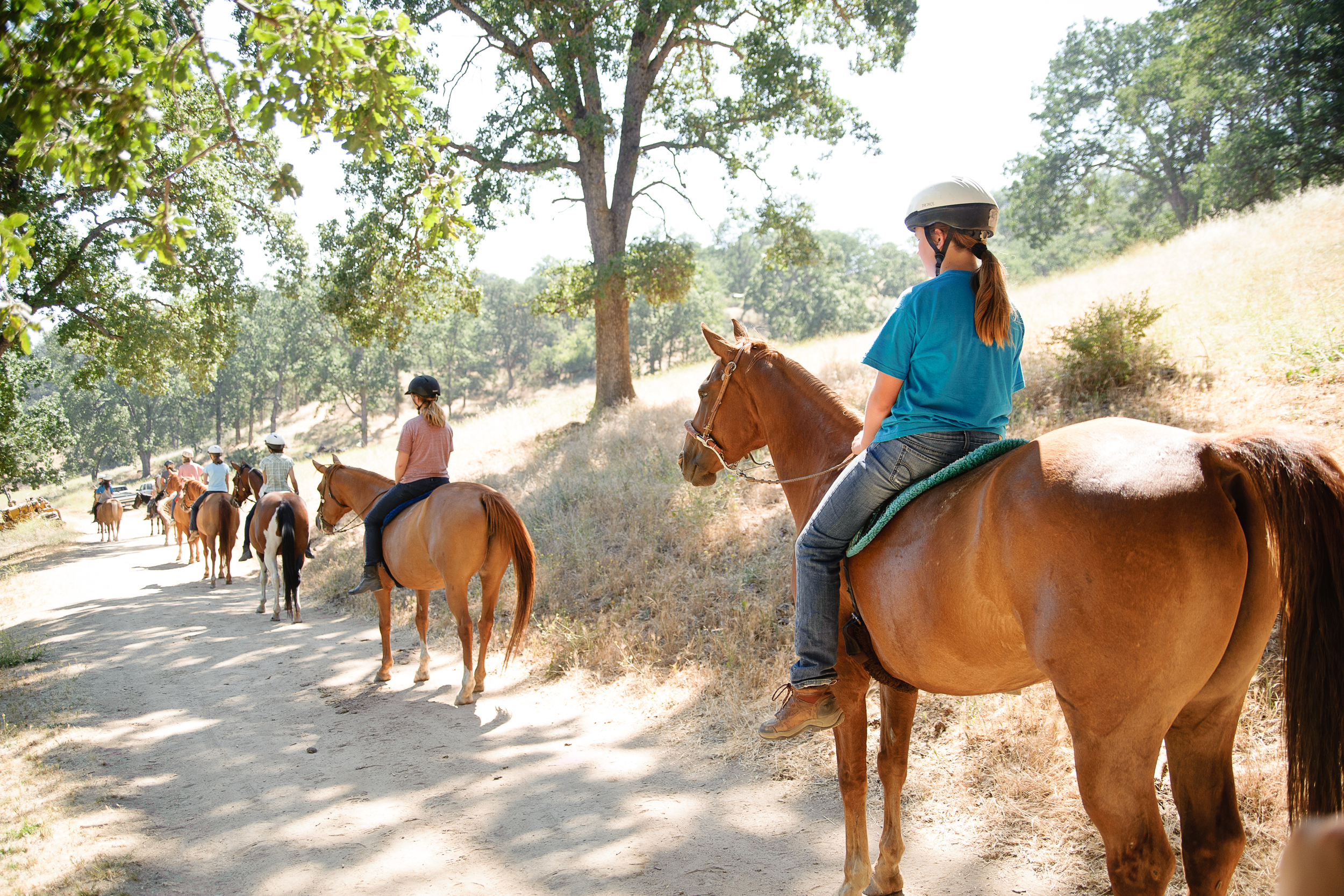 Horseback Riding