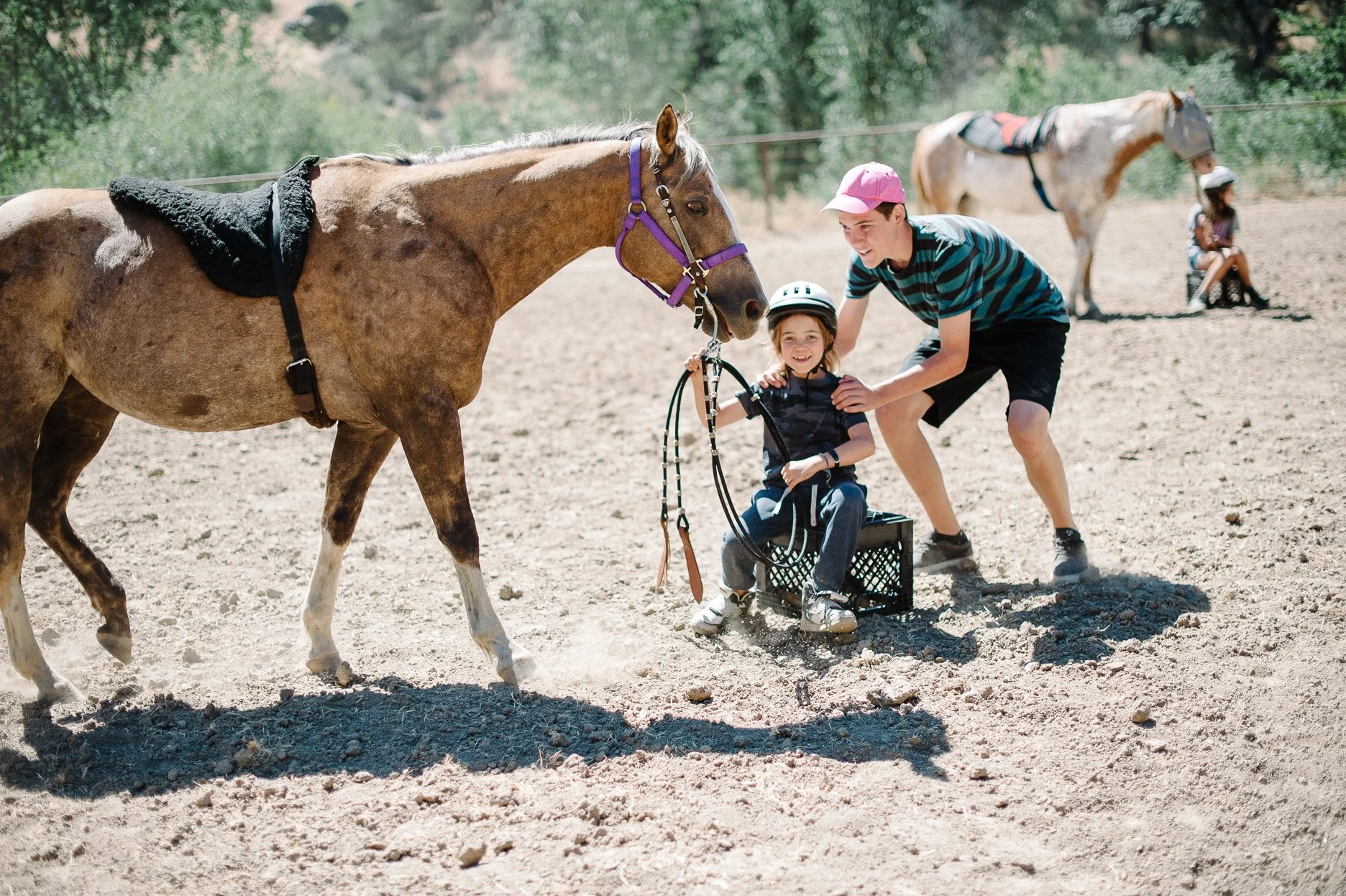 camper-learning-about-horse.jpg