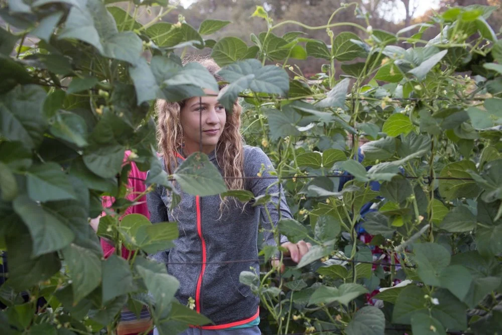 JRC’s 90 Year Reunion-2024