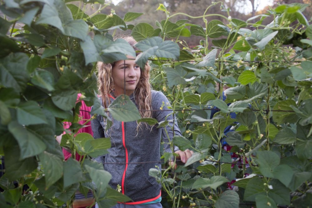 JRC’s 90 Year Reunion-2024