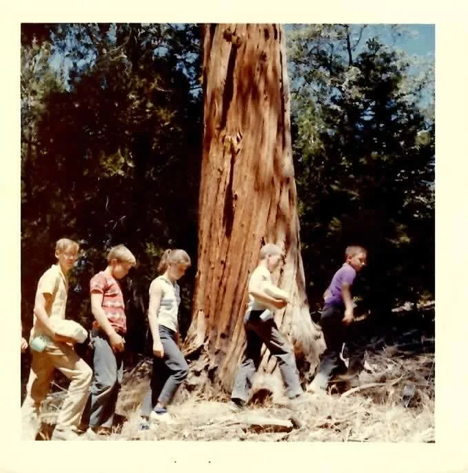 McSweeney’s Internet Tendency: Interviews with People Who Have Interesting Jobs