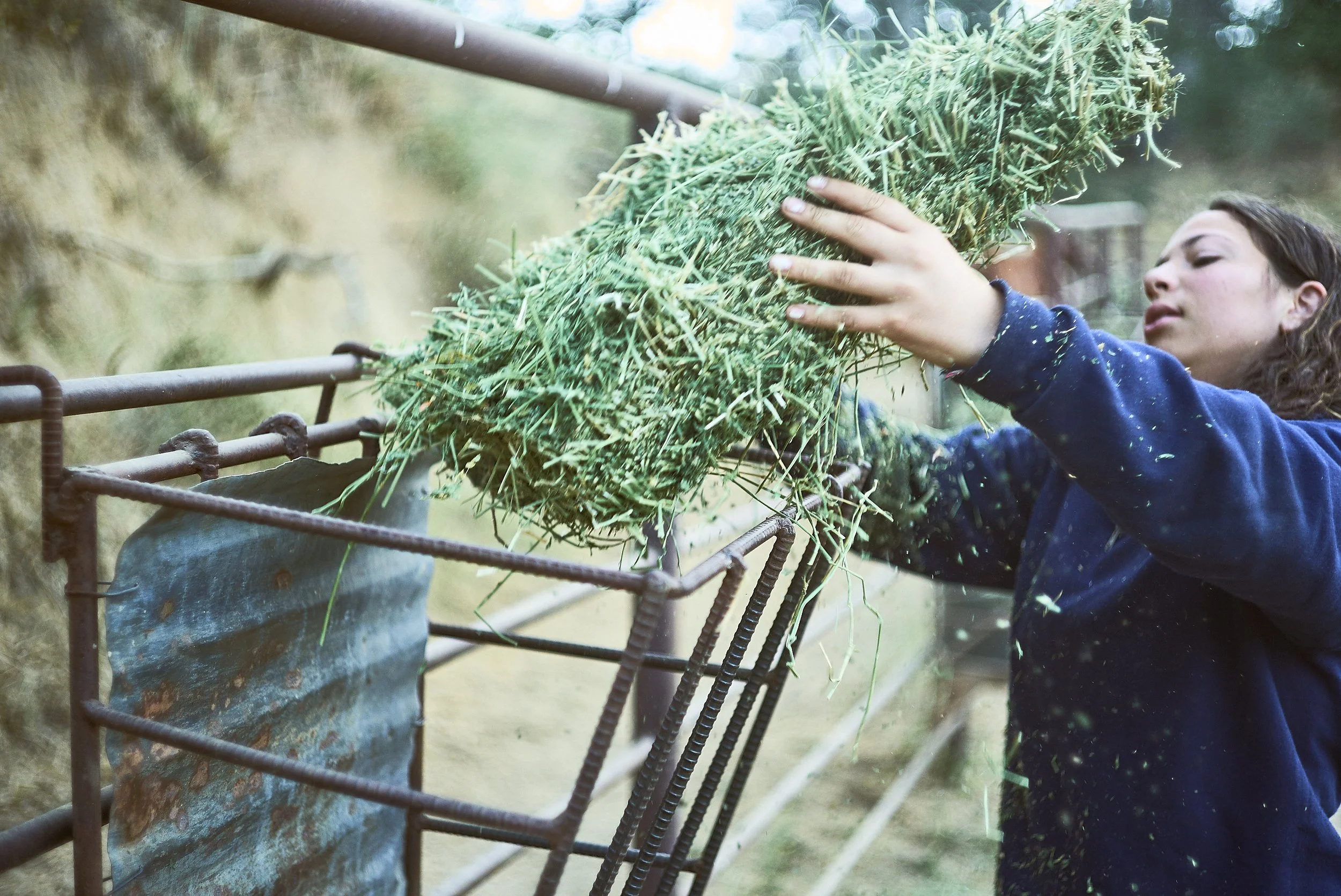 Children participating in camp traditions at Jameson Ranch Camp, Glennville CA — screen-free overnight summer camp for kids and teens