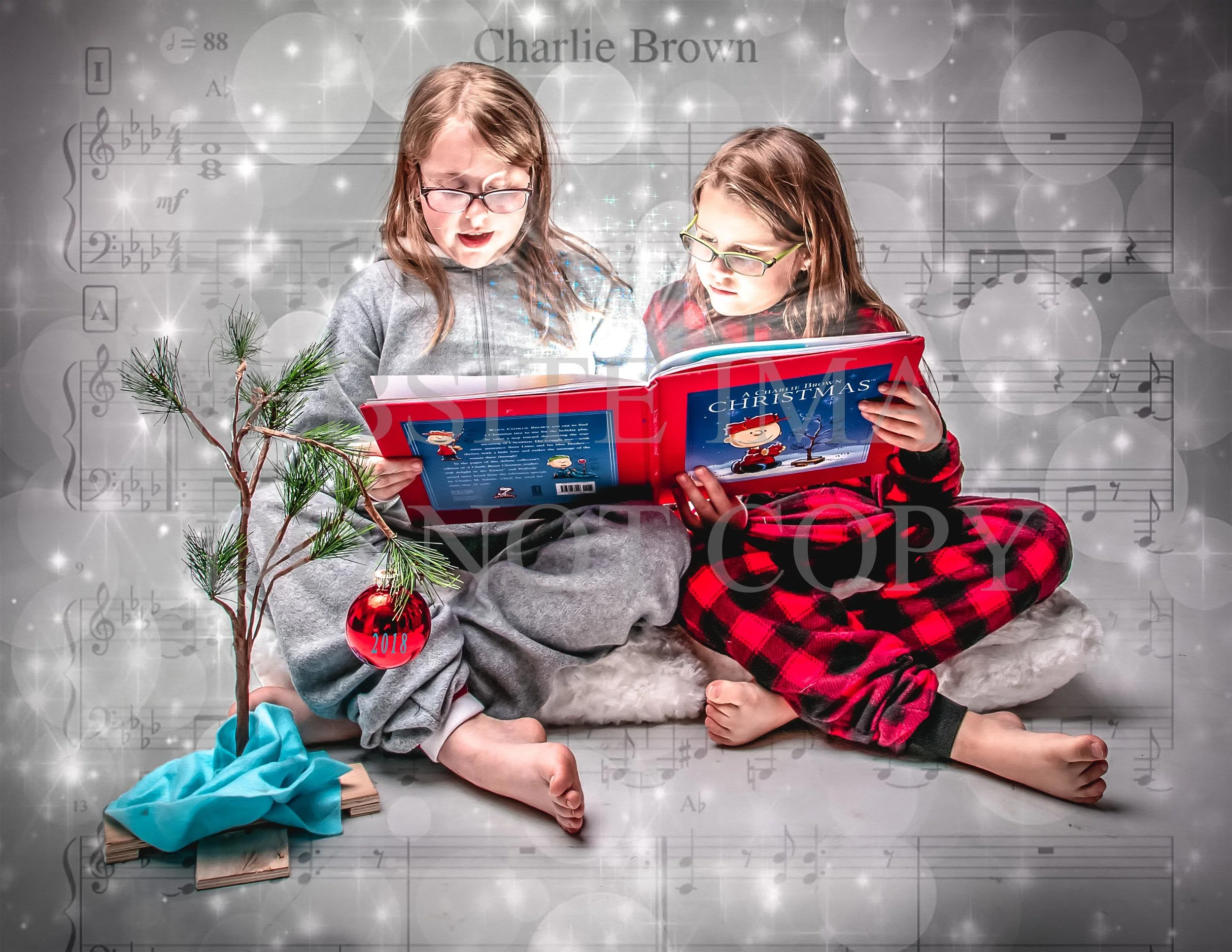 Christmas mini 2018-2.jpg