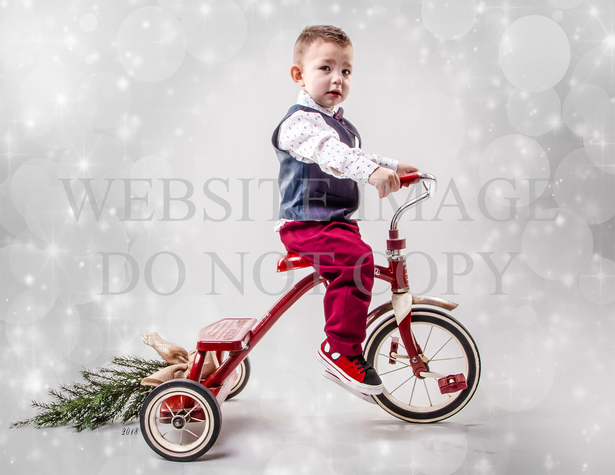Christmas mini 2018-16.jpg