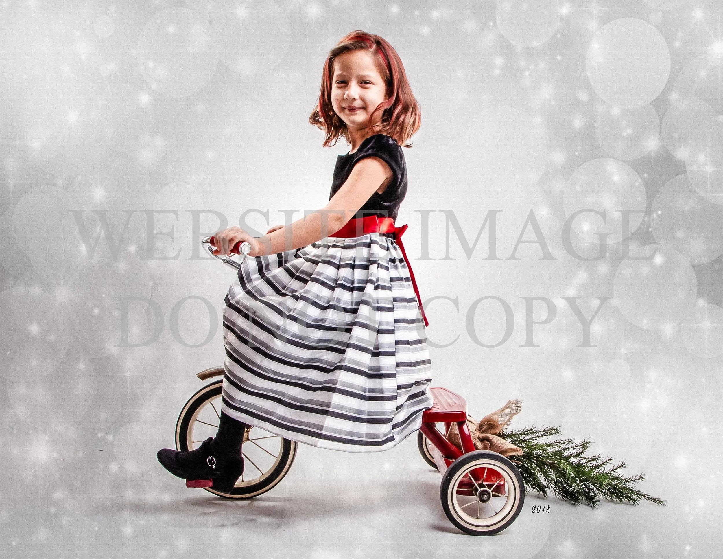 Christmas mini 2018-17.jpg