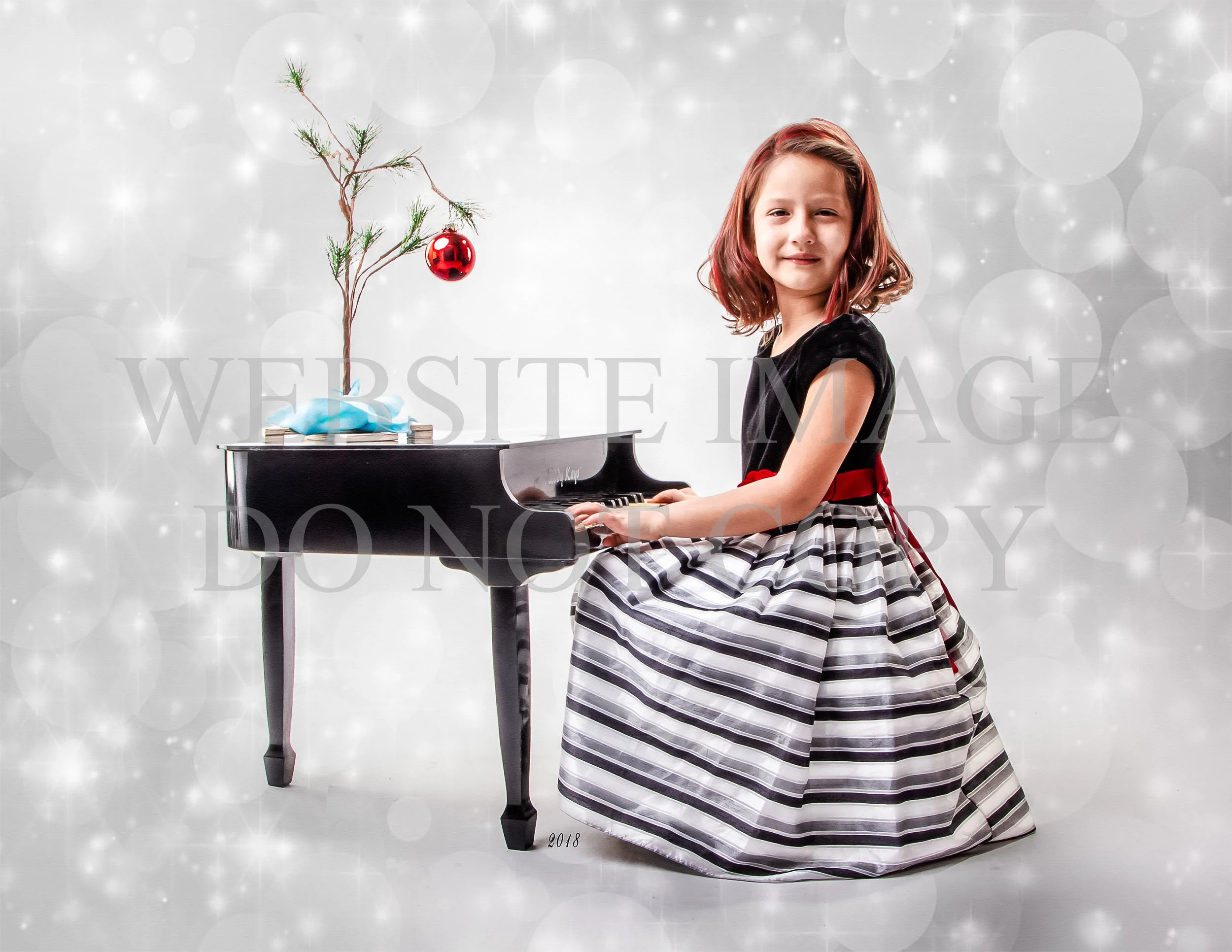 Christmas mini 2018-19.jpg
