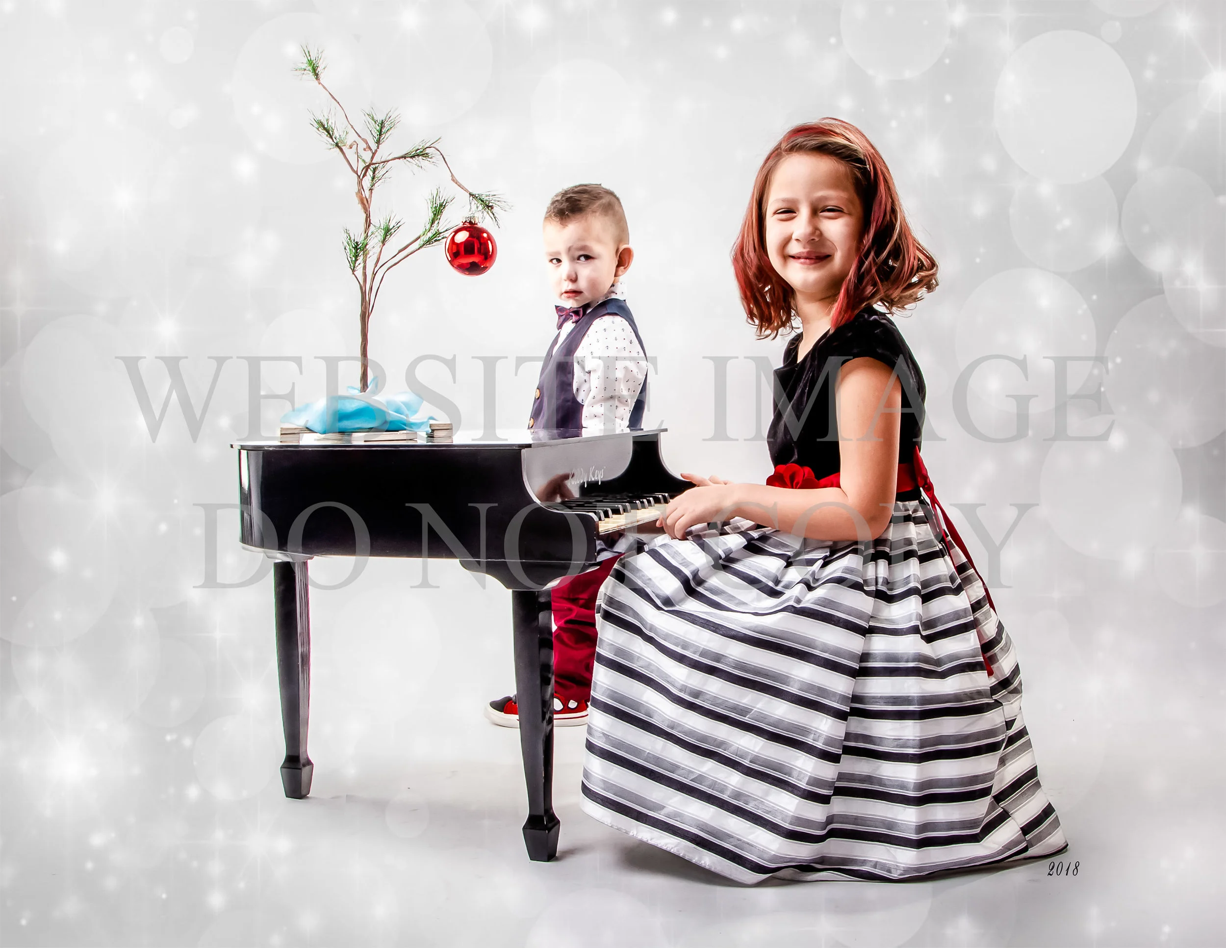 Christmas mini 2018-20.jpg