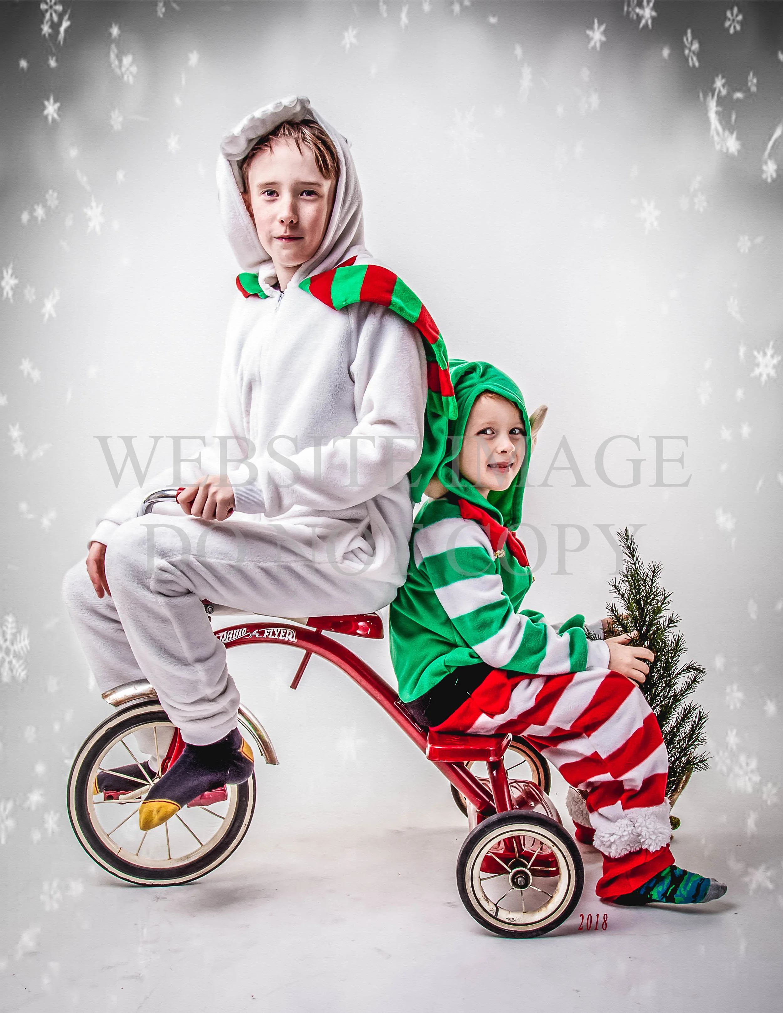 Christmas mini 2018-22.jpg
