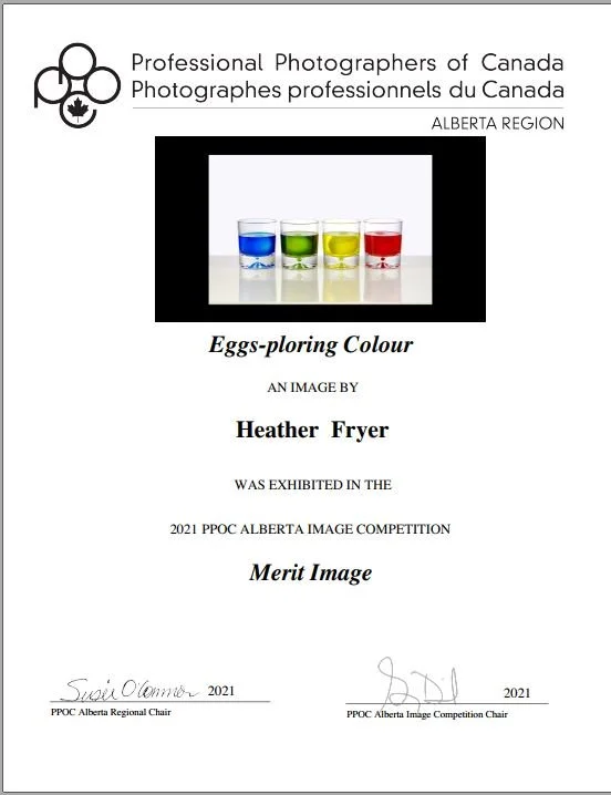 Eggs-ploring Colour.JPG