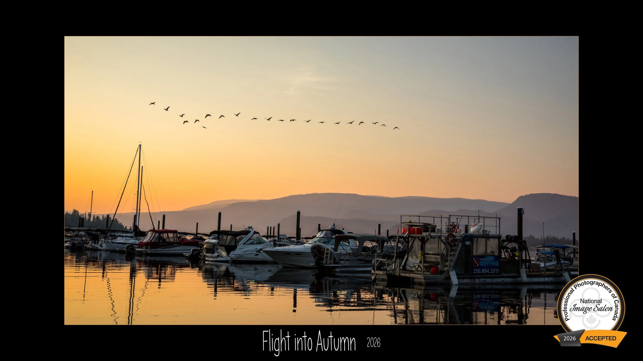 A1295-3_Flight into Autumn-judged.jpg