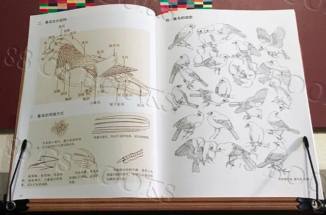 WTRMRK LXM Set - Rare Birds 2.jpg