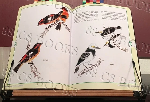 WTRMRK Birds 2.jpg