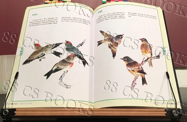WTRMRK Birds 3.jpg