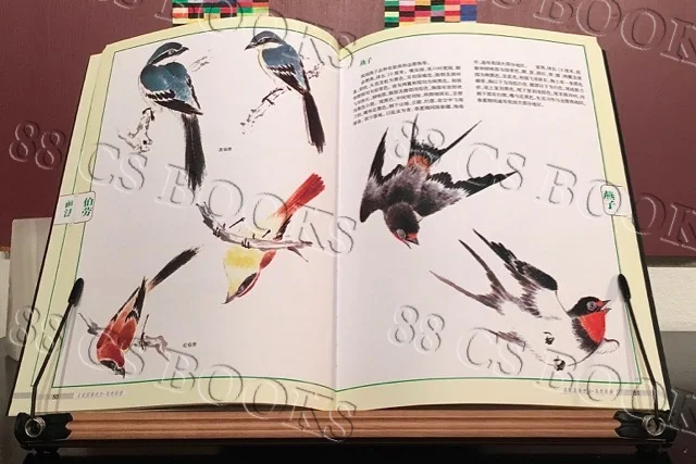 WTRMRK Birds 4.jpg