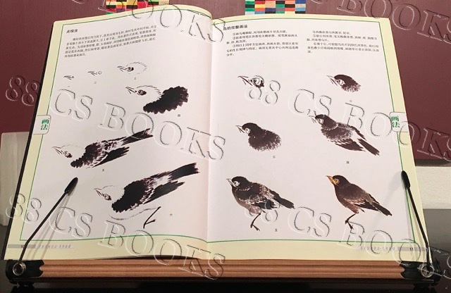 WTRMRK Birds 5.jpg