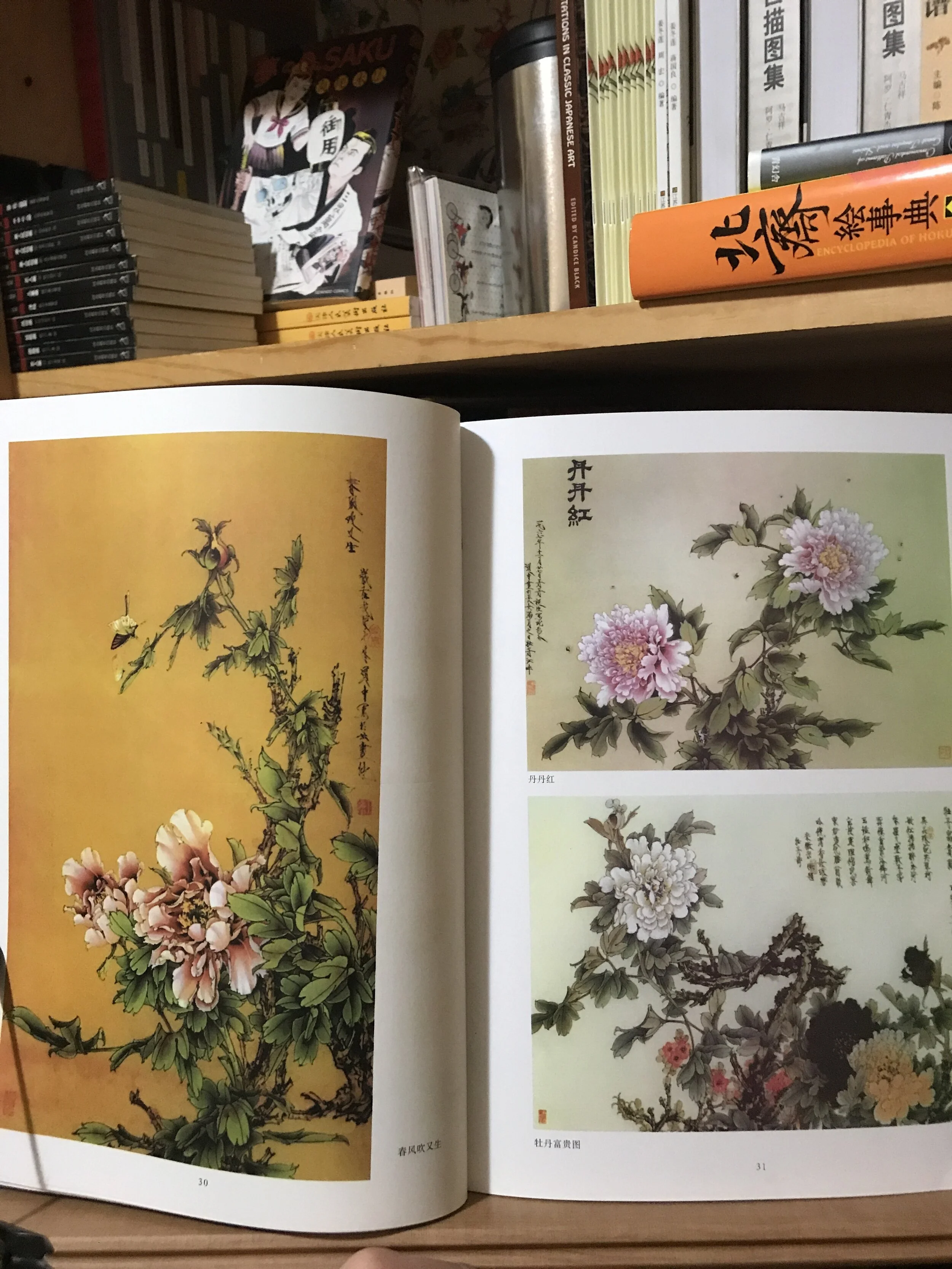 D0A77286-7297-405A-8AEE-A3BE5CBBE250