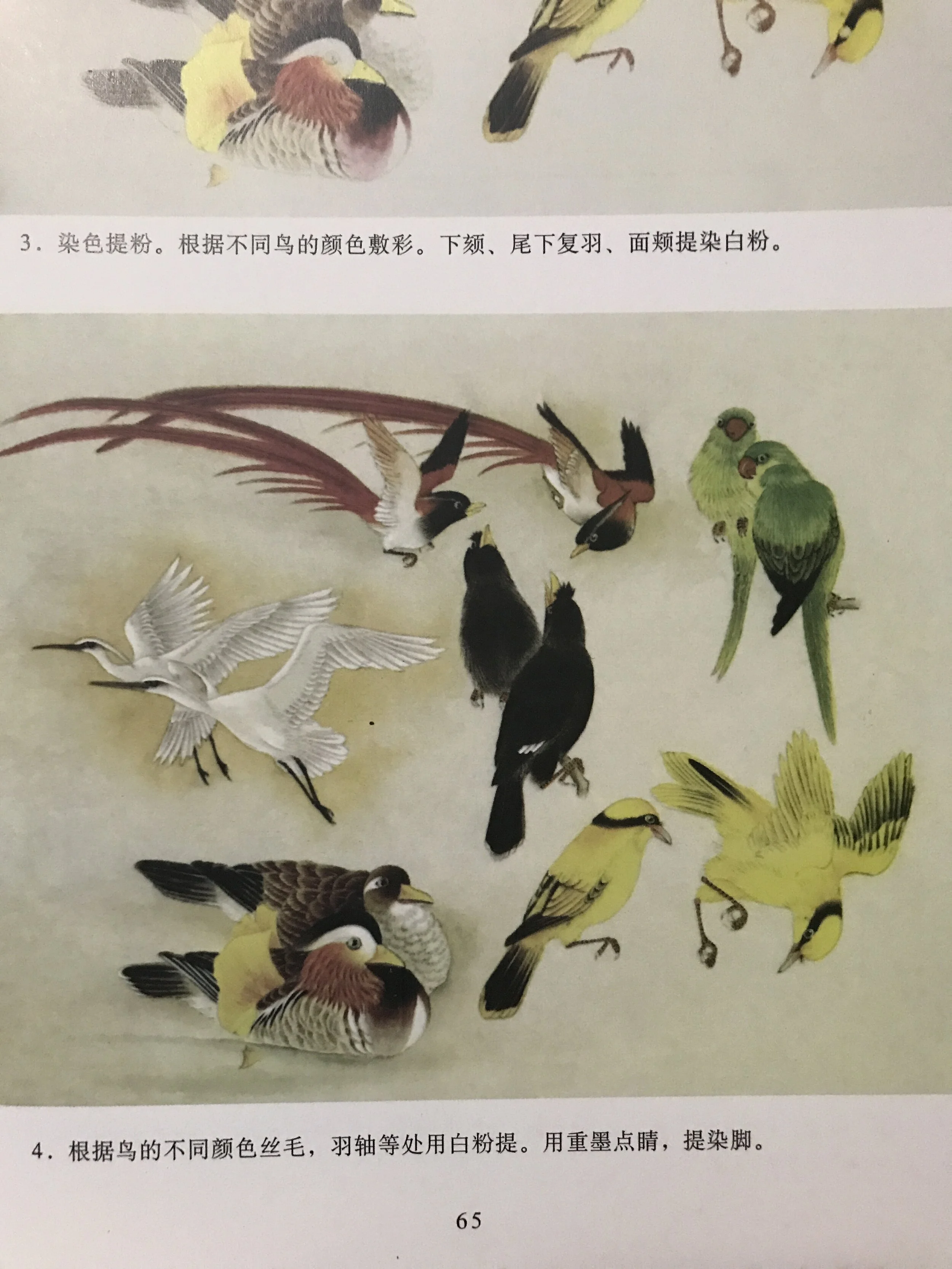 F69B8074-FA65-4FE0-AADF-CF1E5E65308B